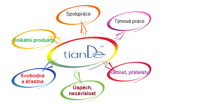 Spolupráce |TianDe | Tým | Praha | Úspěch |